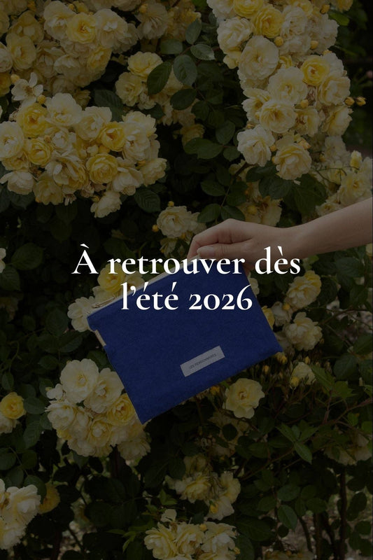Pequeño bolso  azul