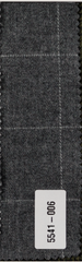 CITY SHIRT CLOUDY CHECK